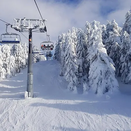 Skykop Kopaonik